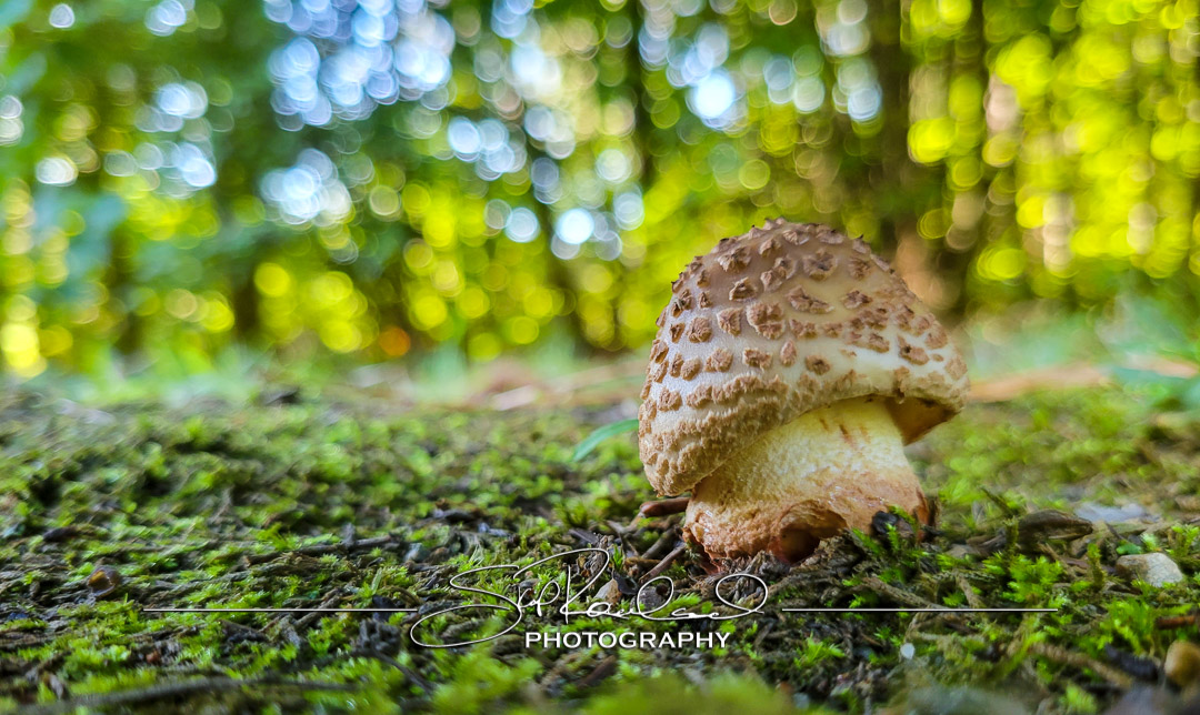 Keep on Rising – the Best of 2022 #95267