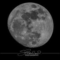 Keep on Rising – the Best of 2022 #97032