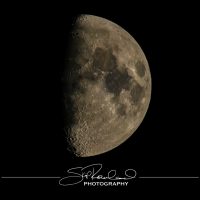 Keep on Rising – the Best of 2022 #97035