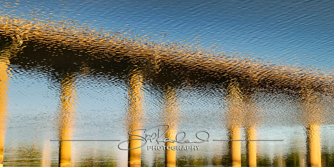 Keep on Rising – the Best of 2022 #95276