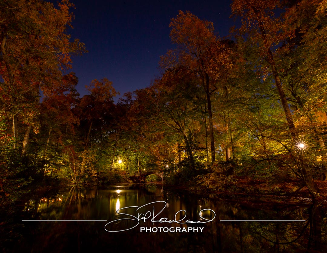 Keep on Rising – the Best of 2022 #97047