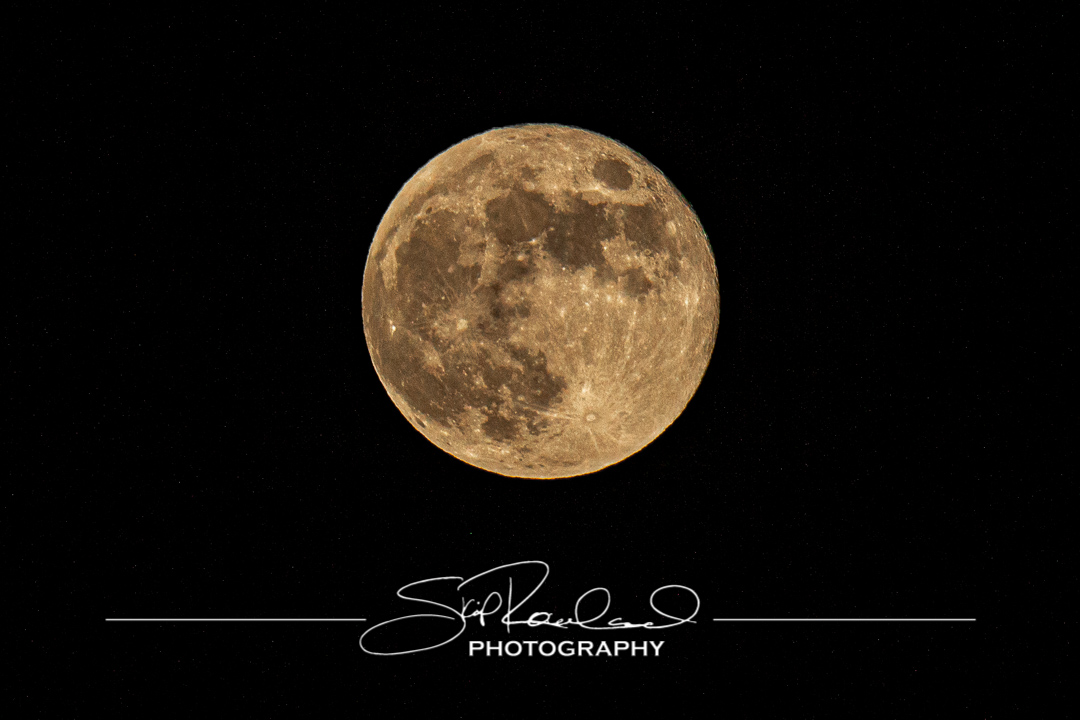 Keep on Rising – the Best of 2022 #95282