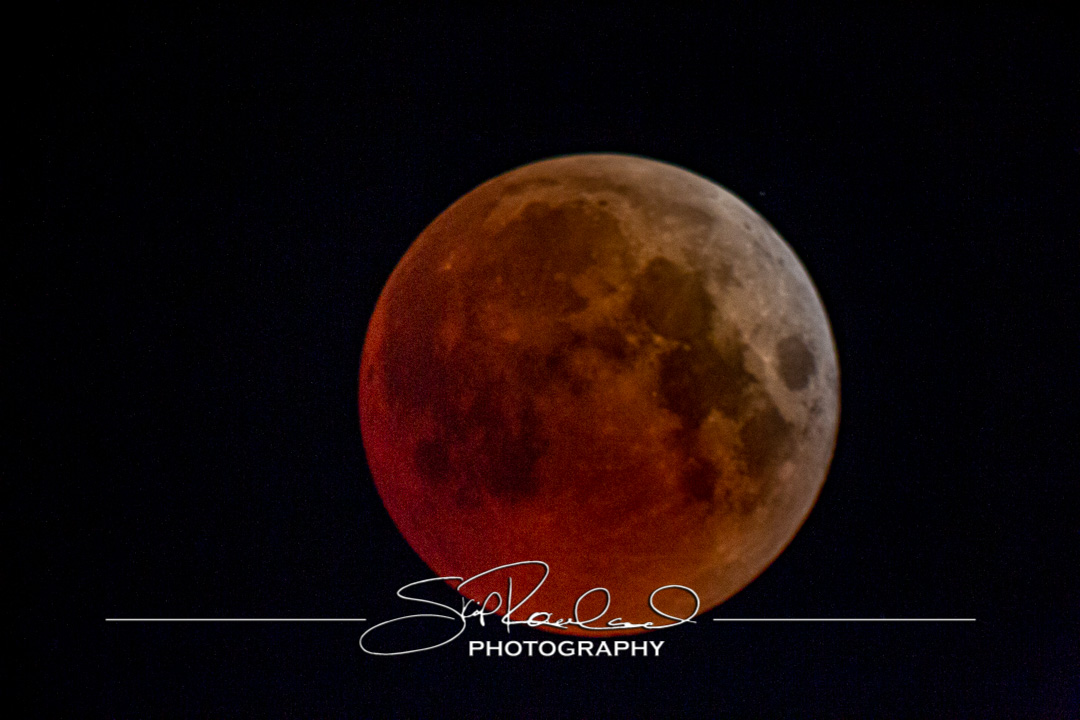 Keep on Rising – the Best of 2022 #97053