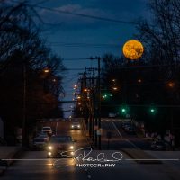 Shining On – the Best of 2023 #197960