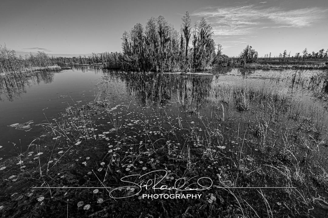 Shining On – the Best of 2023 #197965