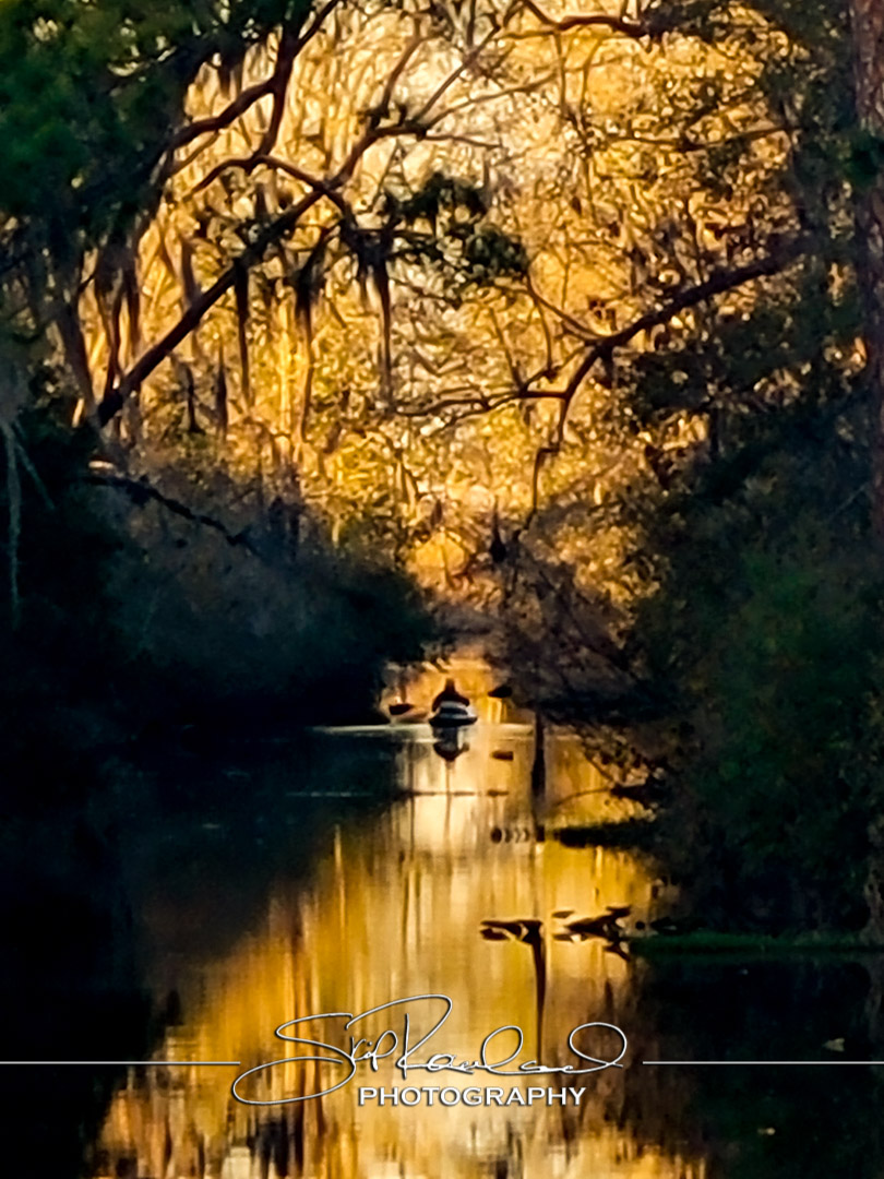 Shining On – the Best of 2023 #197966