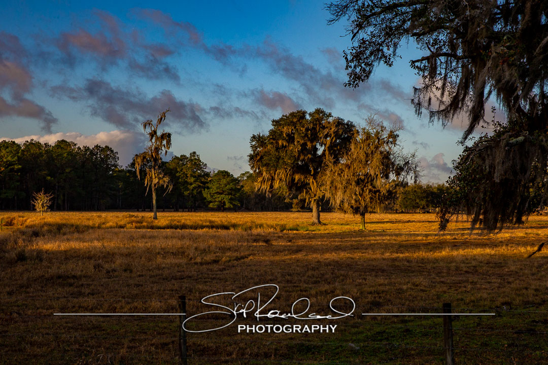 Shining On – the Best of 2023 #197969