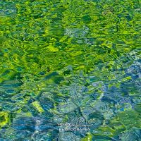 Shining On – the Best of 2023 #197973