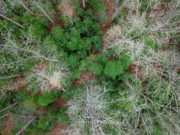 Shining On – the Best of 2023 #197977