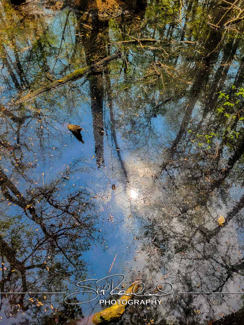 Shining On – the Best of 2023 #197983