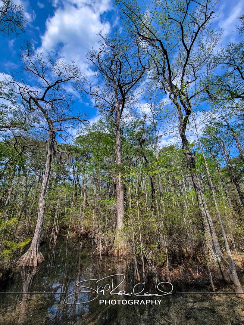 Shining On – the Best of 2023 #197984