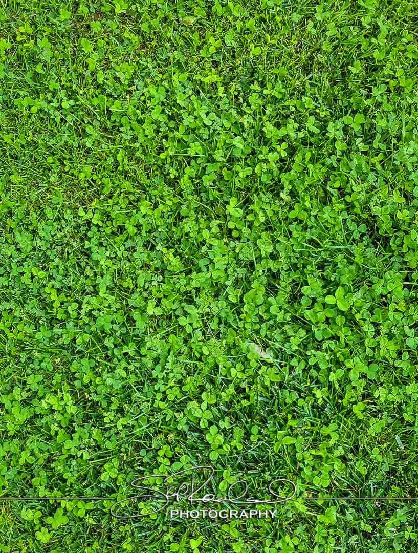 Shining On – the Best of 2023 #197988