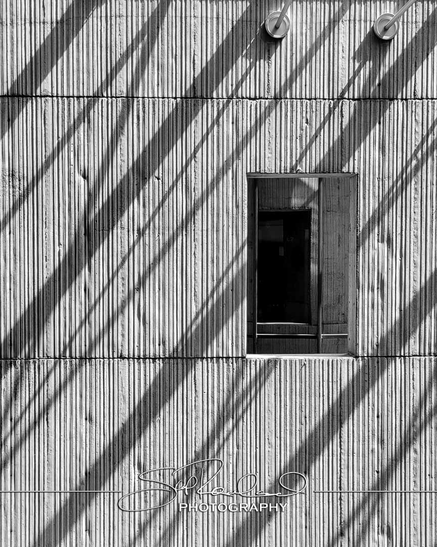 Shining On – the Best of 2023 #197992