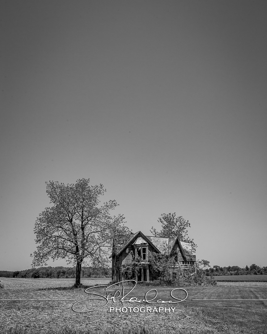 Shining On – the Best of 2023 #197995