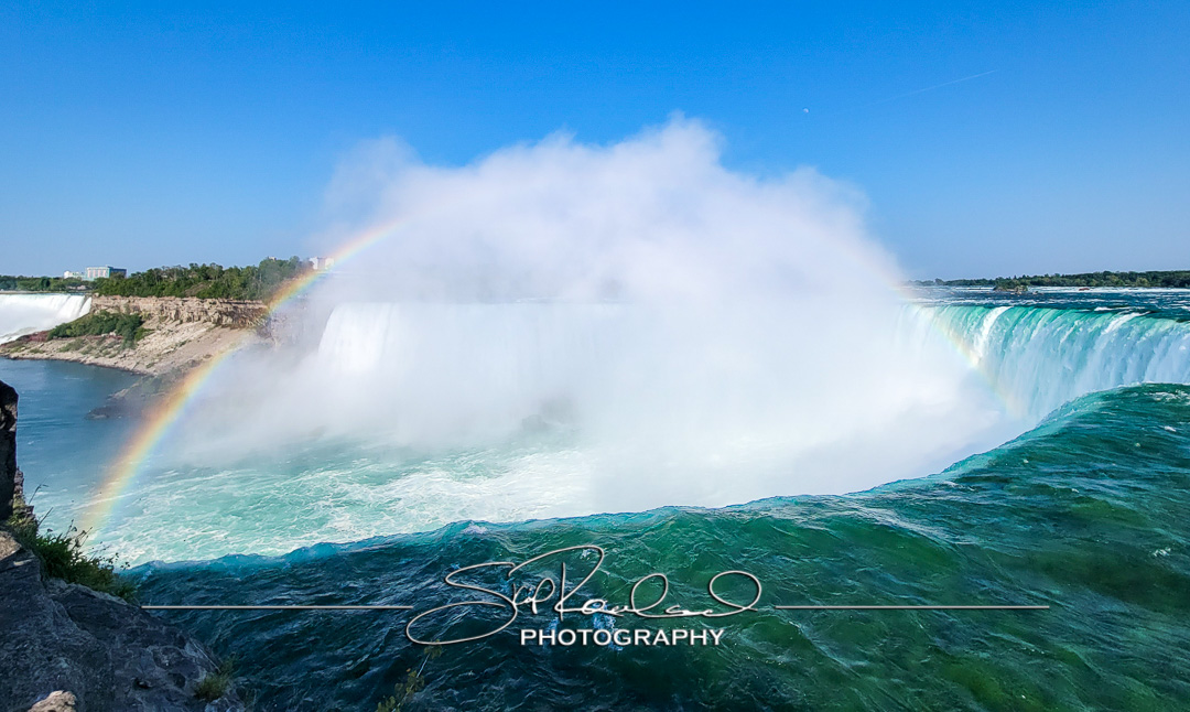 Shining On – the Best of 2023 #197998