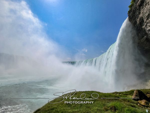 Shining On – the Best of 2023 #198002