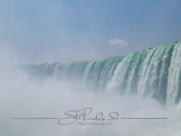 Shining On – the Best of 2023 #198003