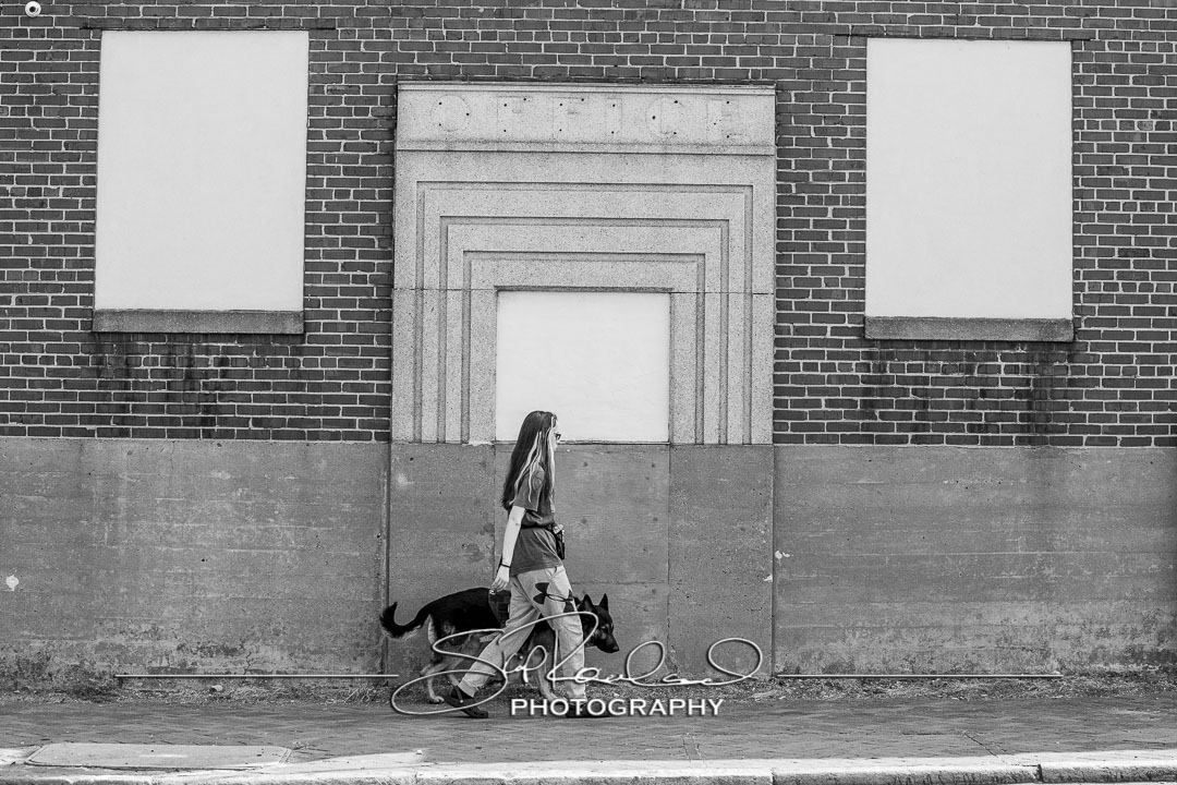 Shining On – the Best of 2023 #198015