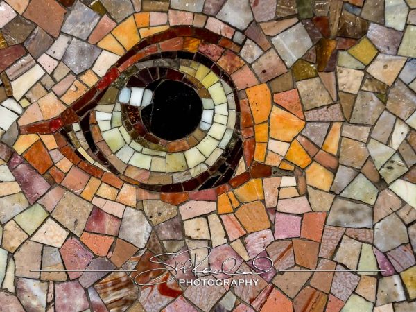 Shining On – the Best of 2023 #198027