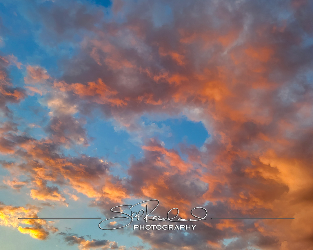 Shining On – the Best of 2023 #198039