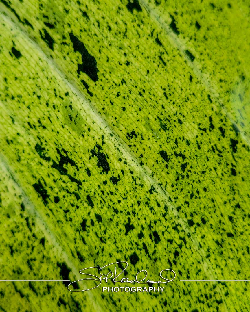 Shining On – the Best of 2023 #198043