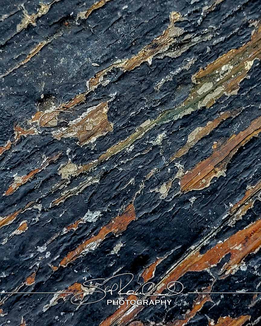 Shining On – the Best of 2023 #198044