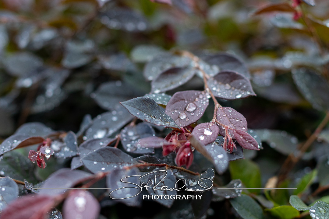 Shining On – the Best of 2023 #198049