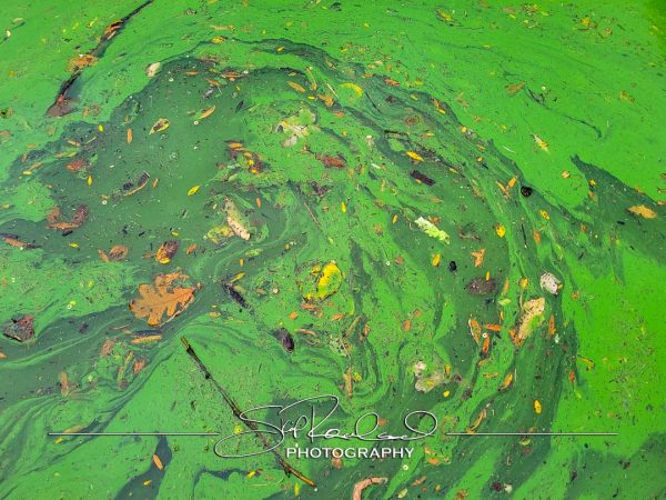 Shining On – the Best of 2023 #198052