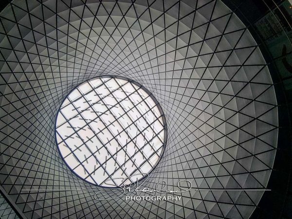 Shining On – the Best of 2023 #198055