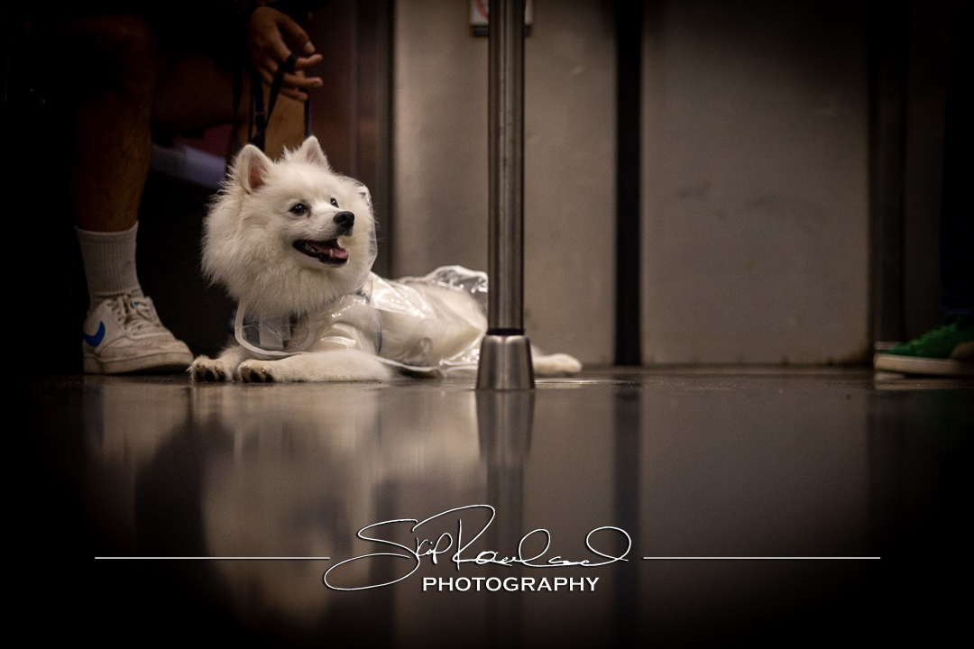 Shining On – the Best of 2023 #198058