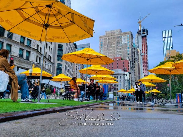 Shining On – the Best of 2023 #198061