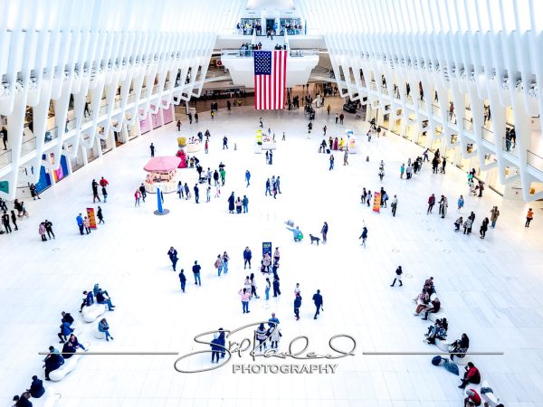 Shining On – the Best of 2023 #198067