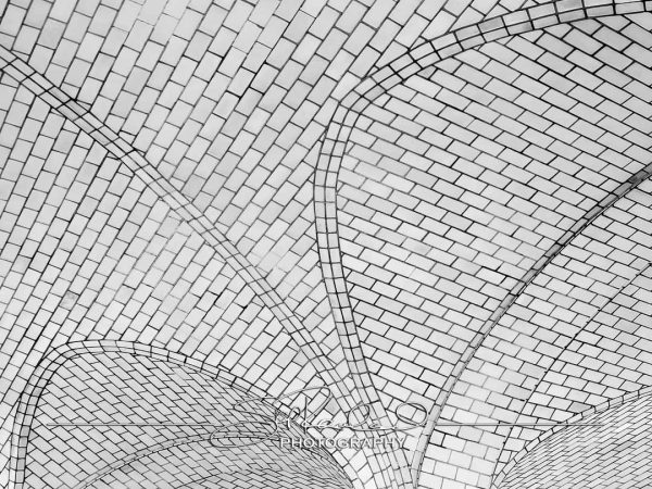 Shining On – the Best of 2023 #198085