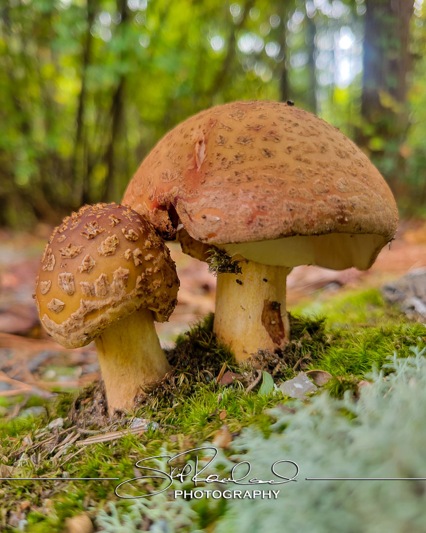 Shining On – the Best of 2023 #198091