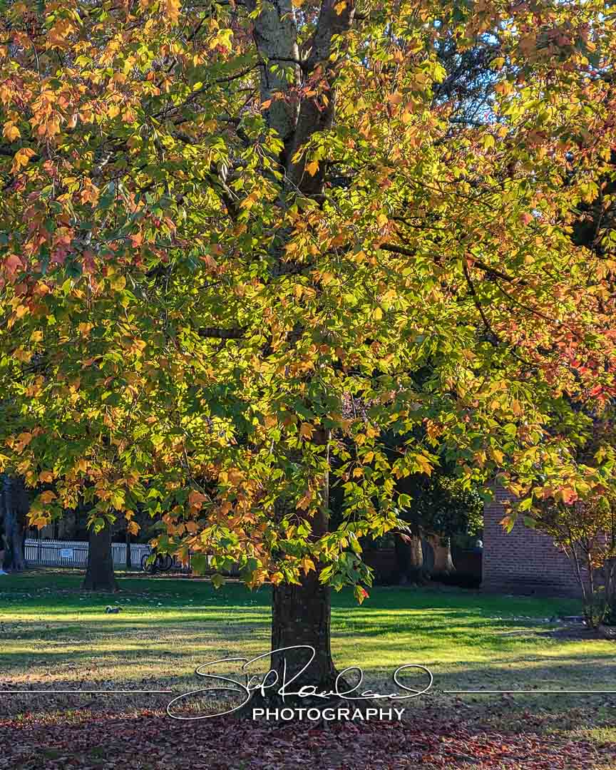 Shining On – the Best of 2023 #198094