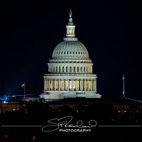 Shining On – the Best of 2023 #198097