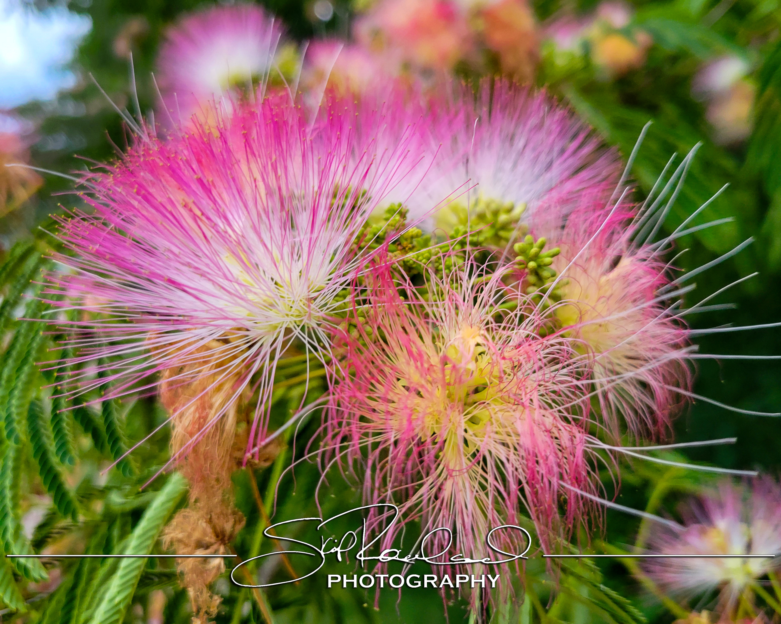 Reconstruction – the Best of 2025 #229246