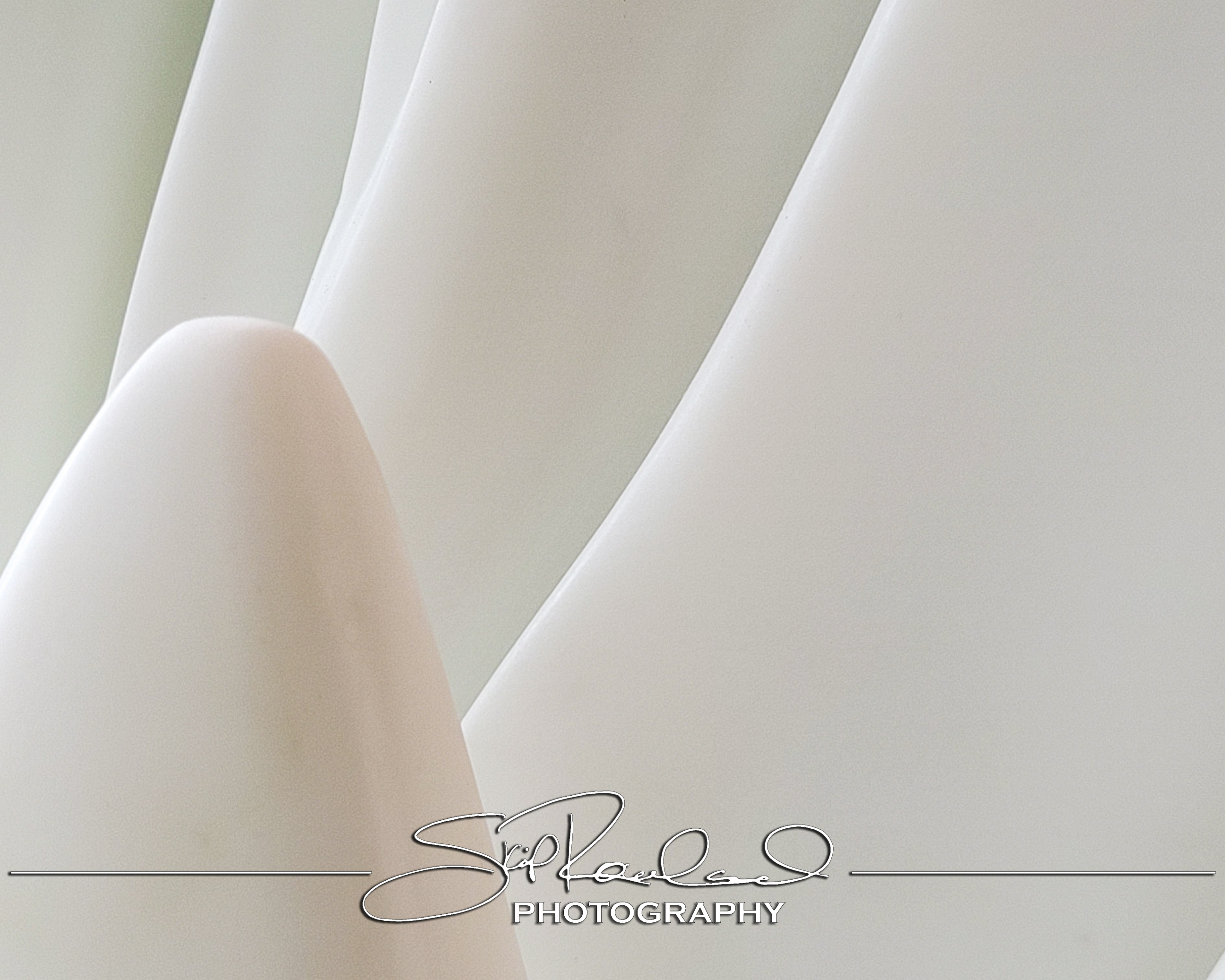 Reconstruction – the Best of 2025 #229247