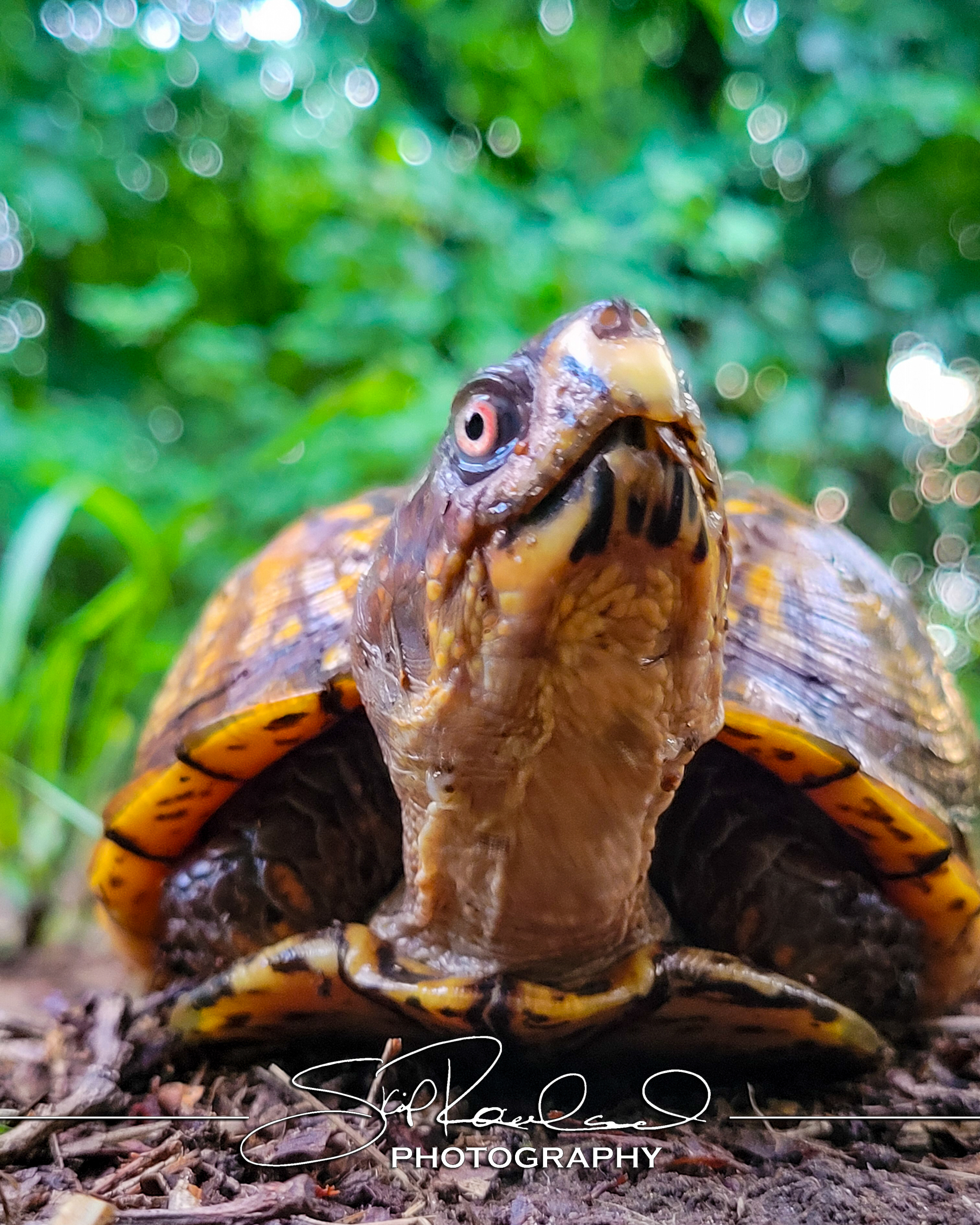 Reconstruction – the Best of 2025 #229248