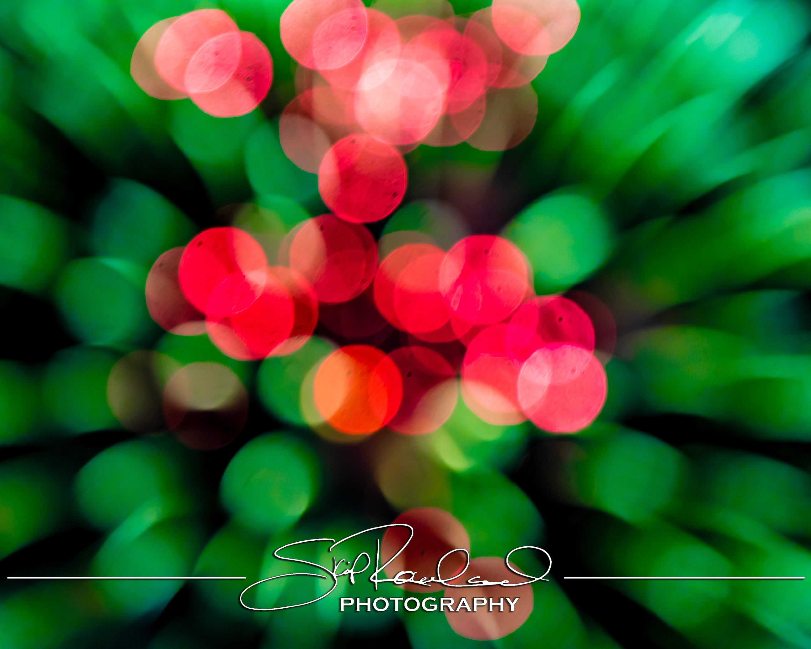 Reconstruction – the Best of 2025 #229249