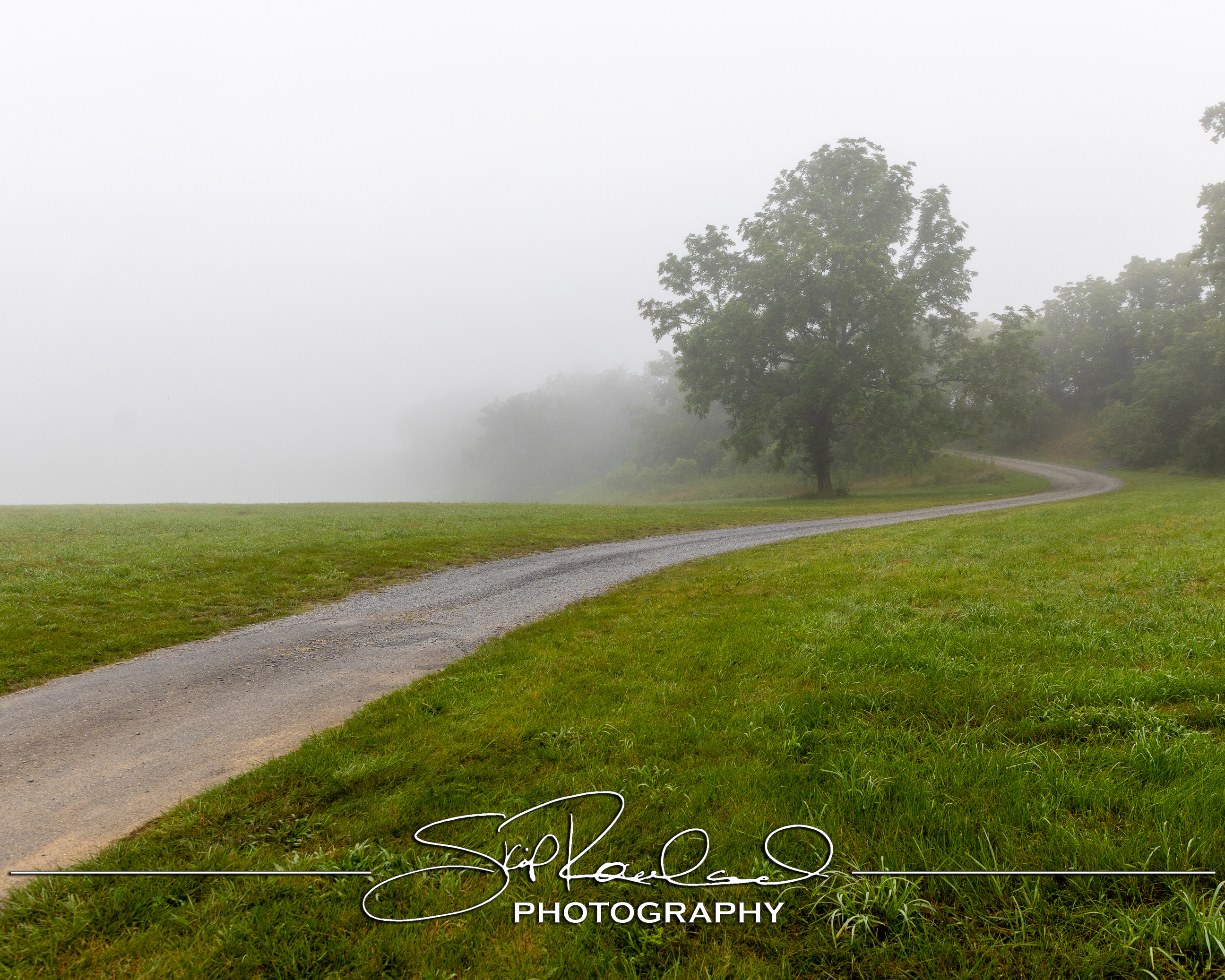 Reconstruction – the Best of 2025 #229252