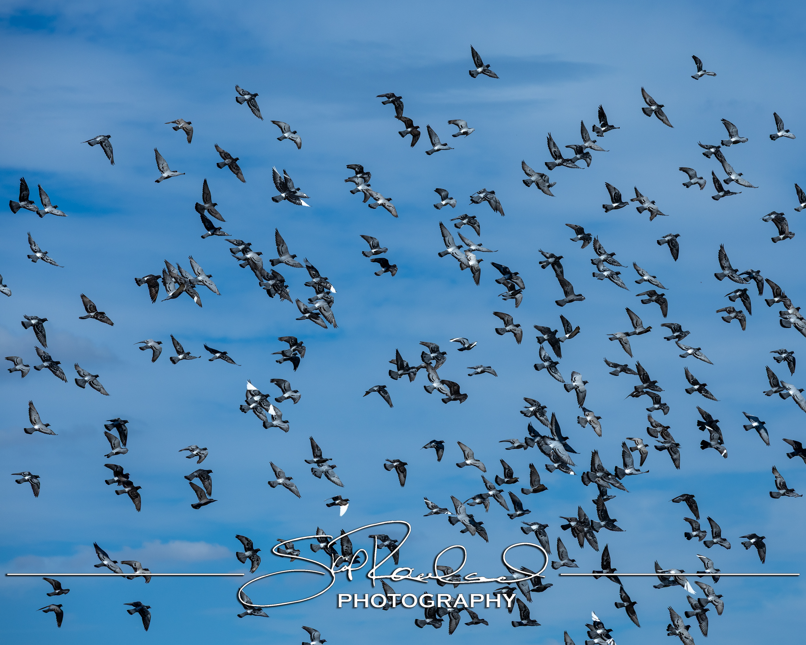 Reconstruction – the Best of 2025 #229265