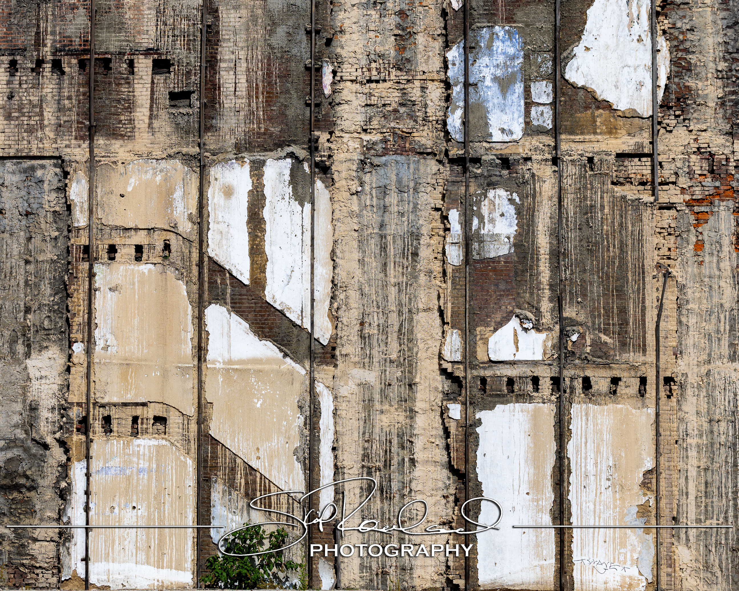 Reconstruction – the Best of 2025 #229266