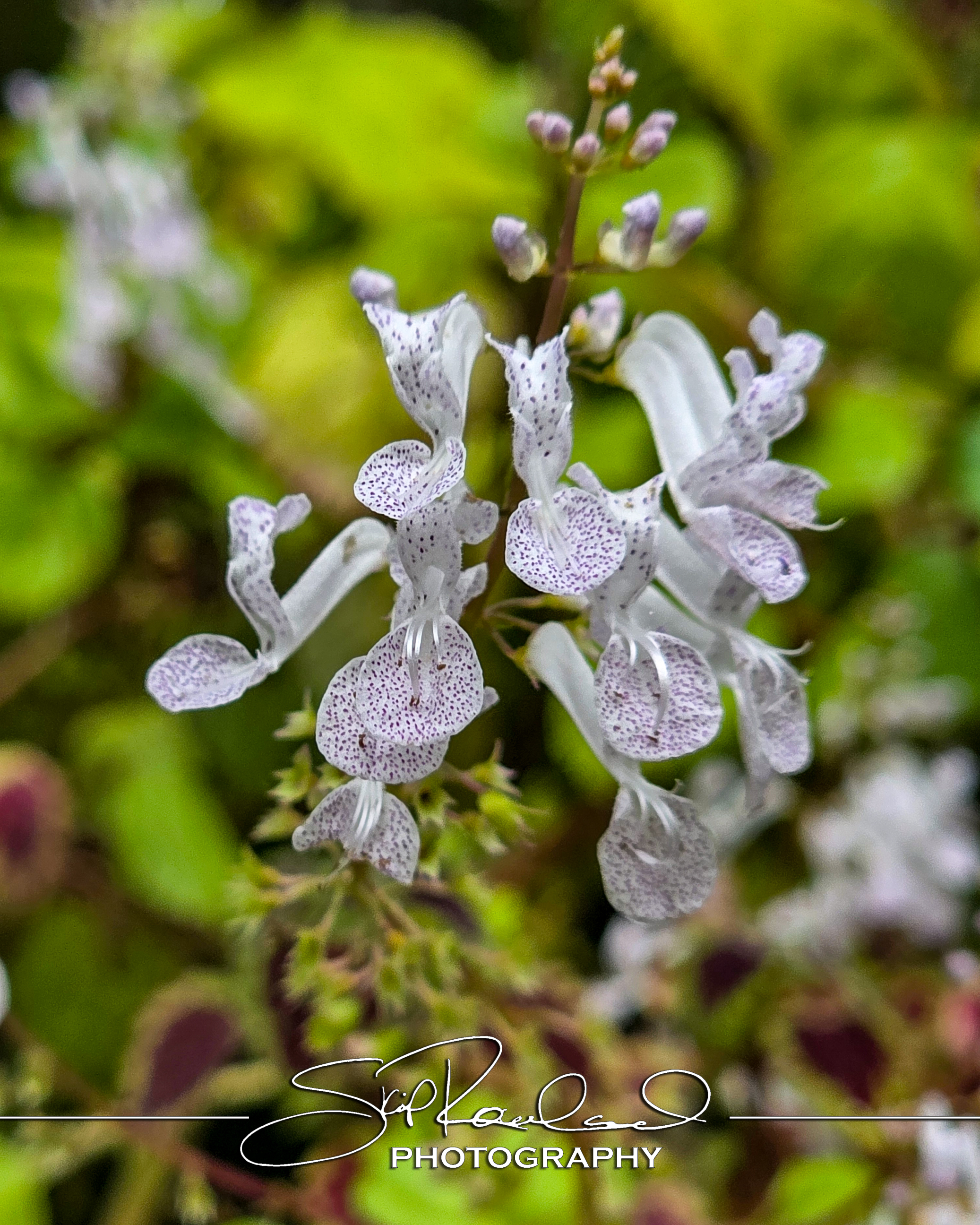 Reconstruction – the Best of 2025 #229273